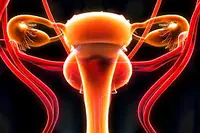 سن اليأس انقطاع الطمث التغيرات الهرمونية